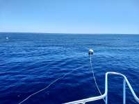 Great day of scuba diving in Key Largo with Rainbow Reef on spiegel grove tropical explorer 2019 04 11 r8112 1