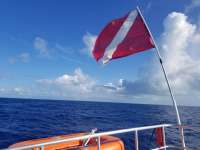 Great day of scuba diving in Key Largo with Rainbow Reef on spiegel grove tropical odyssey 2019 04 07 r8088 1