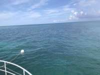 Great day of scuba diving in Key Largo with Rainbow Reef on banana patch tropical odyssey 2019 08 14 r8697 1