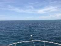 Great day of scuba diving in Key Largo with Rainbow Reef on christ statue tropical destiny 2019 08 28 r8736 1