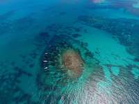 Great day of scuba diving in Key Largo with Rainbow Reef on city of washington tropical adventure 2019 08 13 r8692 2