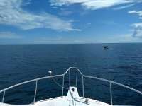 Great day of scuba diving in Key Largo with Rainbow Reef on double north tropical serenity 2019 08 11 r8679 1