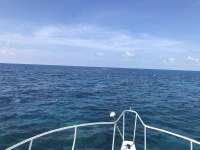 Great day of scuba diving in Key Largo with Rainbow Reef on eagle ray alley tropical serenity 2019 08 26 r8728 1