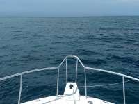 Great day of scuba diving in Key Largo with Rainbow Reef on french reef tropical serenity 2019 08 14 r8696 1