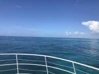 Great day of scuba diving in Key Largo with Rainbow Reef on hole in the wall tropical legend 2019 08 08 r8662 1