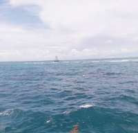 Great day of scuba diving in Key Largo with Rainbow Reef on molasses reef santana 2019 08 01 r8636 1