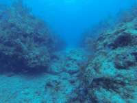 Great day of scuba diving in Key Largo with Rainbow Reef on spanish anchor tropical serenity 2019 08 31 r8744 1