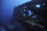 Great day of scuba diving in Key Largo with Rainbow Reef on spiegel grove tropical odyssey 2019 08 24 r8720 1