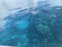 Great day of scuba diving in Key Largo with Rainbow Reef on uscgc duane tropical odyssey 2019 08 09 r8667 1