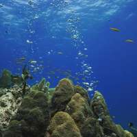 Great day of scuba diving in Key Largo with Rainbow Reef on winch hole tropical serenity 2019 08 08 r8660 2