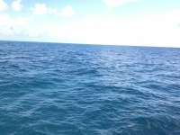 Great day of scuba diving in Key Largo with Rainbow Reef on benwood wreck tropical destiny 2019 12 09 r9002 1