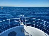 Great day of scuba diving in Key Largo with Rainbow Reef on benwood wreck tropical legend 2019 12 07 r8993 1