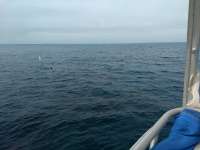 Great day of scuba diving in Key Largo with Rainbow Reef on christ statue tropical destiny 2019 12 05 r8985 1