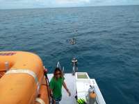 Great day of scuba diving in Key Largo with Rainbow Reef on hole in the wall tropical odyssey 2019 12 13 r9018 1