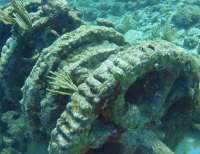 Great day of scuba diving in Key Largo with Rainbow Reef on molasses reef tropical destiny 2019 12 31 r9098 1