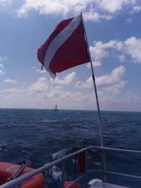 Great day of scuba diving in Key Largo with Rainbow Reef on molasses reef tropical legend 2019 12 23 r9053 1