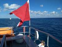 Great day of scuba diving in Key Largo with Rainbow Reef on molasses reef tropical odyssey 2019 12 06 r8990 1