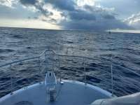 Great day of scuba diving in Key Largo with Rainbow Reef on molasses reef tropical odyssey 2019 12 14 r9028 1