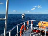 Great day of scuba diving in Key Largo with Rainbow Reef on north star tropical odyssey 2019 12 06 r8991 1