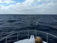 Great day of scuba diving in Key Largo with Rainbow Reef on spiegel grove tropical destiny 2019 12 02 r8980 1