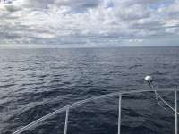Great day of scuba diving in Key Largo with Rainbow Reef on spiegel grove tropical destiny 2019 12 04 r8982 1