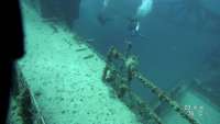 Great day of scuba diving in Key Largo with Rainbow Reef on spiegel grove tropical legend 2019 12 08 r8997 1