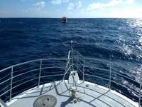 Great day of scuba diving in Key Largo with Rainbow Reef on spiegel grove tropical legend 2019 12 12 r9012 1