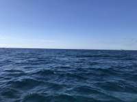 Great day of scuba diving in Key Largo with Rainbow Reef on uscgc duane tropical destiny 2019 12 07 r8992 1