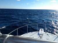 Great day of scuba diving in Key Largo with Rainbow Reef on uscgc duane tropical destiny 2019 12 08 r8996 1