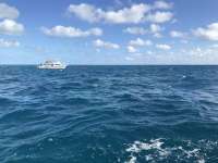 Great day of scuba diving in Key Largo with Rainbow Reef on uscgc duane tropical destiny 2019 12 09 r9000 1