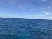 Great day of scuba diving in Key Largo with Rainbow Reef on christmastree cave tropical odyssey 2019 02 16 r7844 1