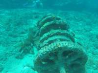 Great day of scuba diving in Key Largo with Rainbow Reef on eagle ray alley tropical odyssey 2019 02 22 r7862 1