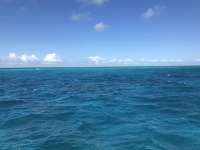 Great day of scuba diving in Key Largo with Rainbow Reef on fire coral cave santana 2019 02 09 r7829 1
