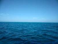 Great day of scuba diving in Key Largo with Rainbow Reef on french reef tropical serenity 2019 02 05 r7808 1