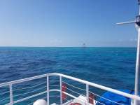Great day of scuba diving in Key Largo with Rainbow Reef on hole in the wall tropical adventure 2019 02 24 r7875 1