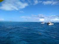 Great day of scuba diving in Key Largo with Rainbow Reef on molasses reef santana 2019 02 22 r7863 1