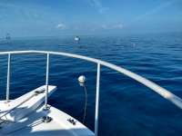 Great day of scuba diving in Key Largo with Rainbow Reef on molasses reef tropical destiny 2019 02 04 r7806 3