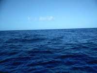 Great day of scuba diving in Key Largo with Rainbow Reef on spiegel grove tropical destiny 2019 02 24 r7873 1