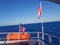 Great day of scuba diving in Key Largo with Rainbow Reef on spiegel grove tropical odyssey 2019 02 19 r7857 1