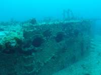 Great day of scuba diving in Key Largo with Rainbow Reef on uscgc duane tropical destiny 2019 02 09 r7824 1
