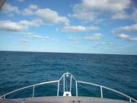Great day of scuba diving in Key Largo with Rainbow Reef on christmastree cave tropical serenity 2019 01 07 r7716 1