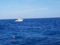 Great day of scuba diving in Key Largo with Rainbow Reef on eagle ray alley tropical legend 2019 01 03 r7692 1