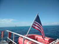 Great day of scuba diving in Key Largo with Rainbow Reef on eagle ray alley tropical odyssey 2019 01 13 r7737 1