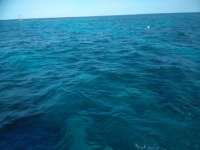 Great day of scuba diving in Key Largo with Rainbow Reef on eagle ray alley tropical serenity 2019 01 07 r7713 1