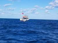Great day of scuba diving in Key Largo with Rainbow Reef on eagle ray alley tropical serenity 2019 01 11 r7729 1