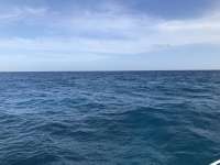 Great day of scuba diving in Key Largo with Rainbow Reef on french reef tropical odyssey 2019 01 03 r7693 1