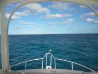 Great day of scuba diving in Key Largo with Rainbow Reef on molasses reef tropical serenity 2019 01 12 r7731 1