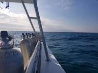 Great day of scuba diving in Key Largo with Rainbow Reef on snapper ledge tropical serenity 2019 01 15 r7744 1