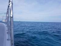 Great day of scuba diving in Key Largo with Rainbow Reef on spanish anchor tropical legend 2019 01 09 r7722 1