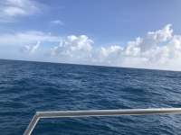 Great day of scuba diving in Key Largo with Rainbow Reef on spiegel grove tropical odyssey 2019 01 03 r7690 1